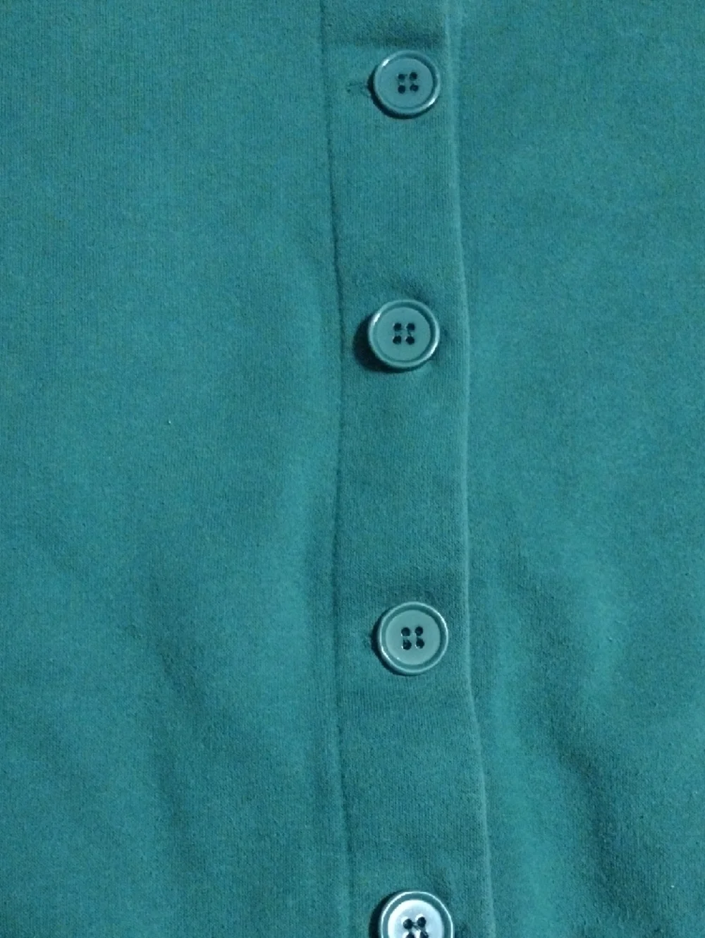 Speculation Green Button-Up Cardigan with Sunflower & Pumpkin Embroidery - Picture 5 of 11